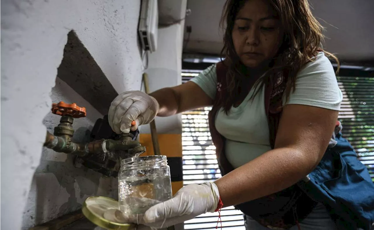 Sedesa visitó más de 590 domicilios por agua contaminada en la Benito Juárez