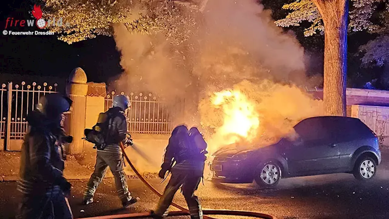 D: Brennender Müllcontainer und Ford Fiesta in Dresden