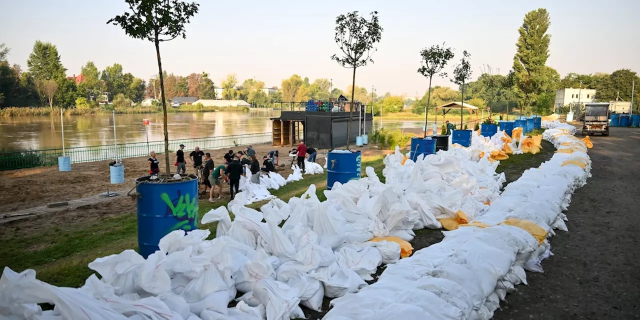 Hochwasser im Osten: Brandenburg bereitet sich auf Hochwasser-Welle vor