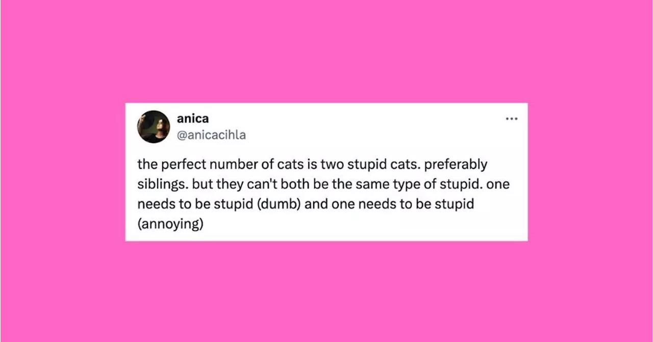 21 Of The Funniest Tweets About Cats And Dogs This Week (Sept. 14-20)