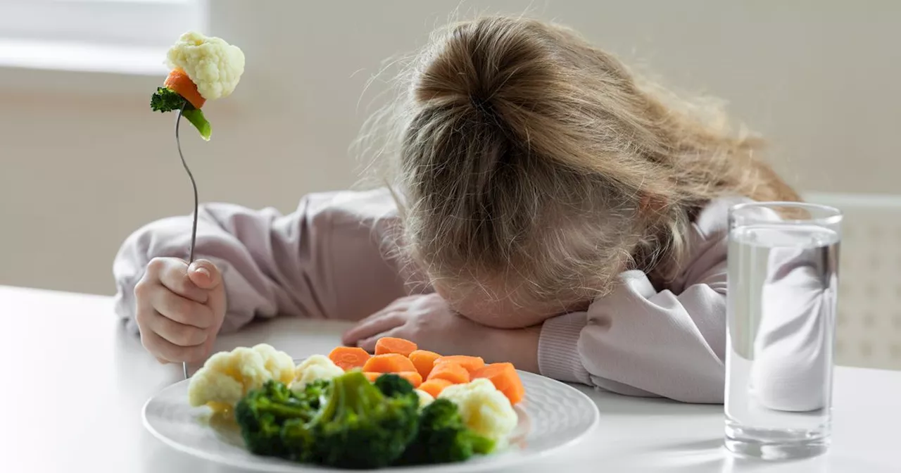 Picky eating is largely genetic and peaks at the age of seven, scientists say