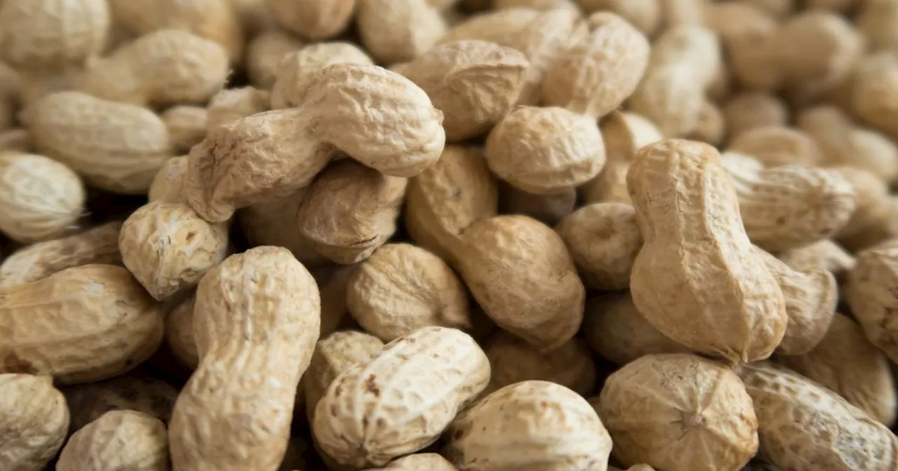 Urgent Warning Issued to Peanut Allergy Sufferers in Ireland Over Mustard Products