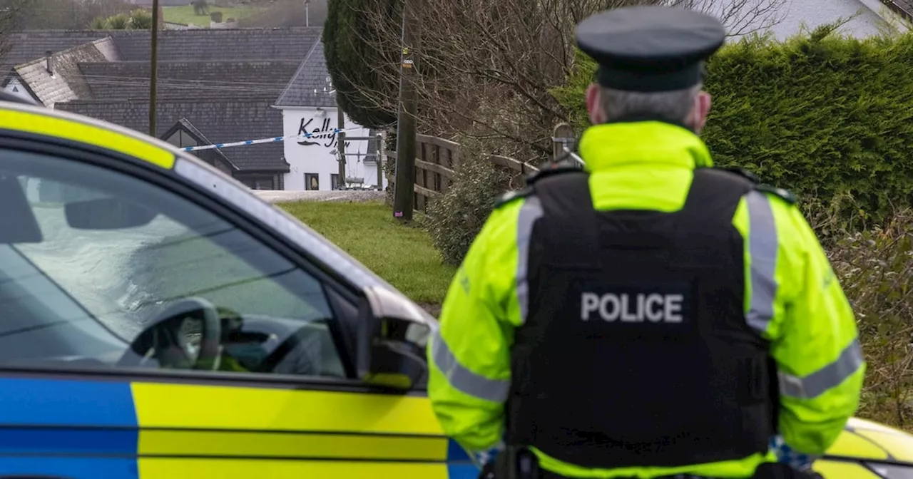 Pensioner charged after man killed in hit and run in Co Fermanagh