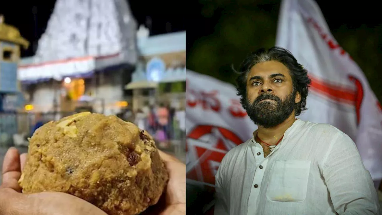 Tirupati Laddu Case: 'जब ​​तक हिंदू एकजुट नहीं होंगे...' पवन कल्याण ने क्यों की 'सनातन धर्म रक्षण बोर्ड' बनाने की मांग?