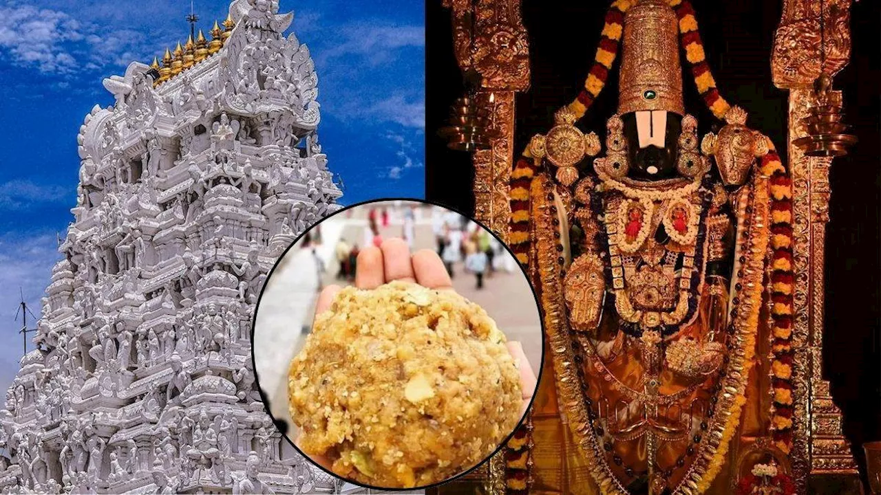 Tirupati Balaji में 200 साल पहले शुरू हुई प्रसाद बांटने की परंपरा, लड्डूओं से पहले लगता था इस खास चीज का भोग