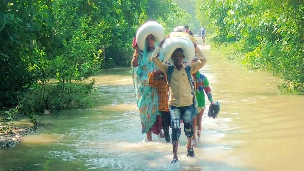 UP Weather: सरयू की बाढ़ में बहा राष्ट्रीय राजमार्ग-31, बलिया-छपरा का संपर्क टूटा