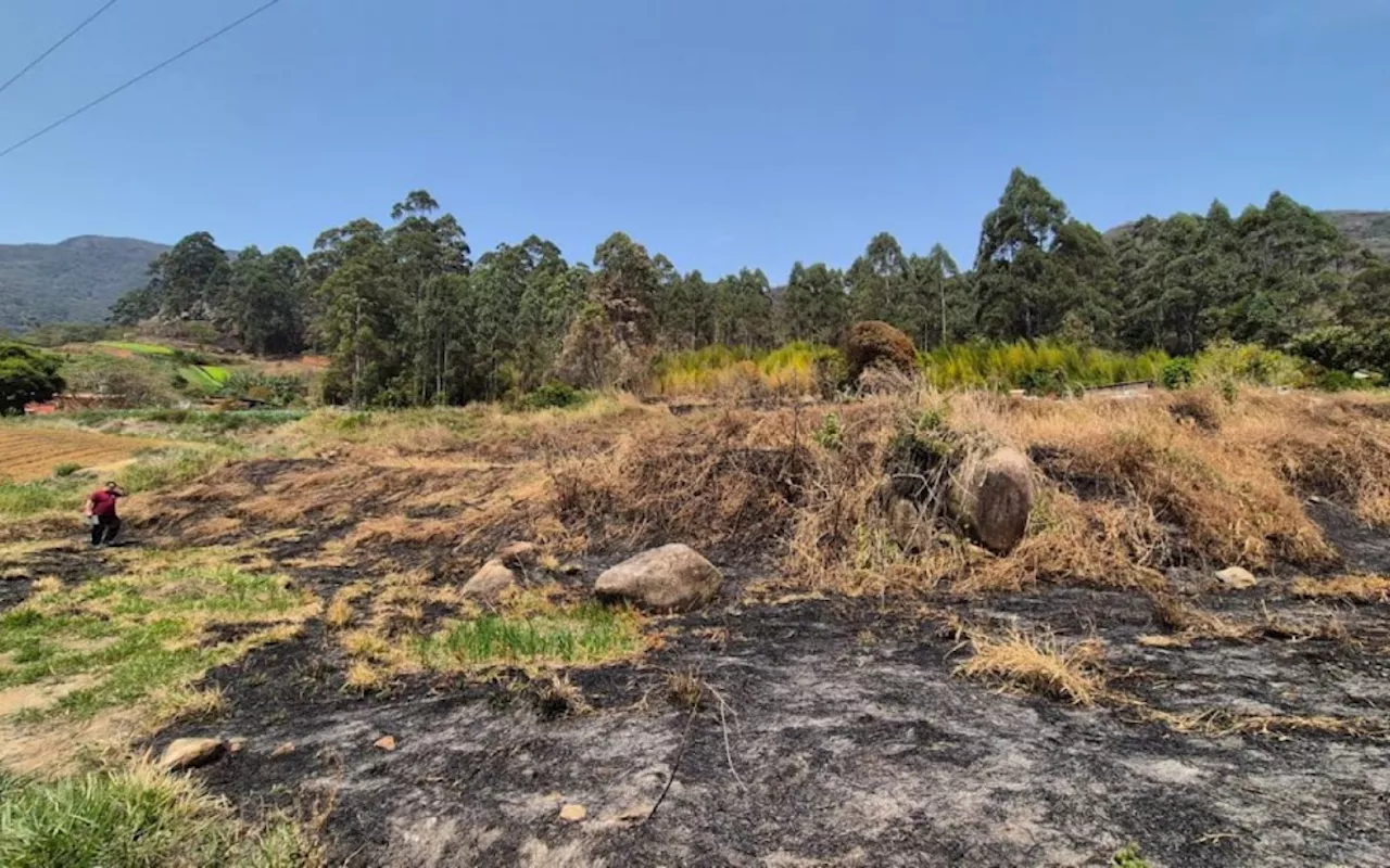 Polícia Civil identifica 34 autores de incêndios criminosos no estado do Rio