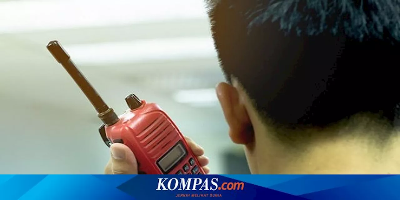 Penjelasan Produsen 'Walkie-talkie' Jepang Terkait Produk yang Meledak di Lebanon