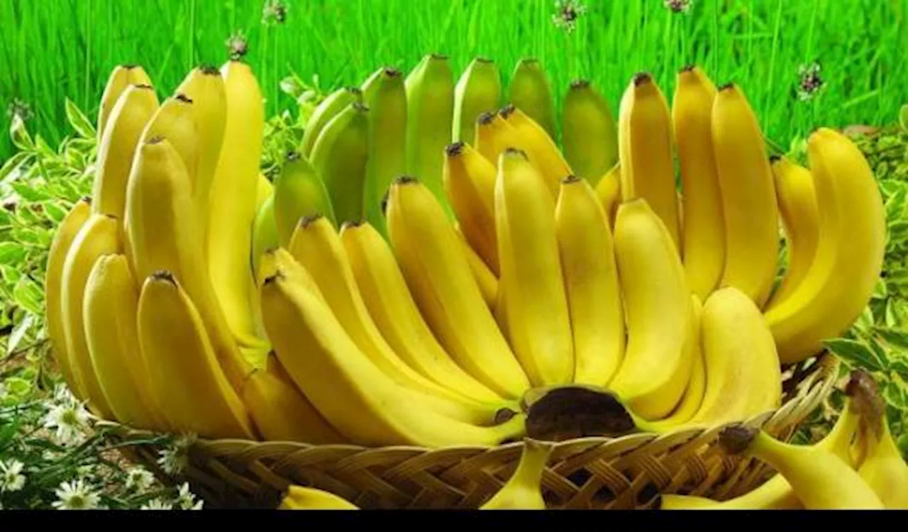 5 Makanan Ini Sebaiknya Tidak Dikonsumsi Bersama Pisang