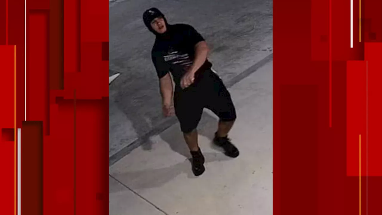 BCSO searching for rock-throwing vandal in east Bexar County