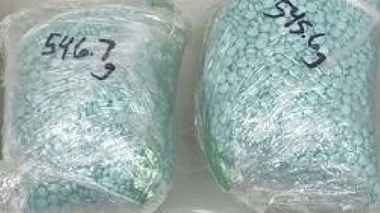 2 women found with $400K in drugs during traffic stop sentenced to federal prison