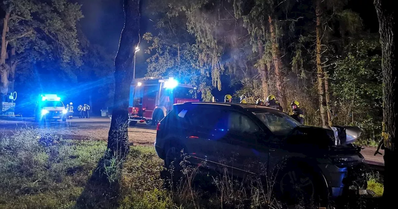 Betrunkener ÖVP-Ortschef flüchtet vor Polizei und kracht gegen Baum