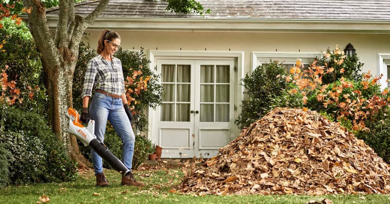 Fit für den Herbst: Bereite deinen Garten jetzt für die kalte Jahreszeit vor