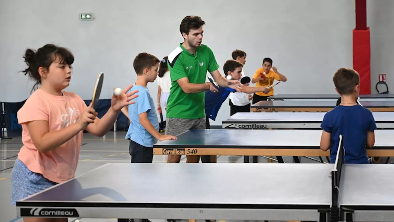 Des clubs sportifs albigeois portés par le souffle des Jeux Olympiques