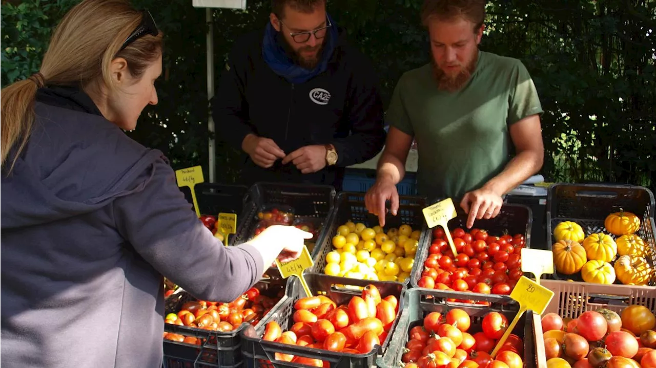 Les bons produits du marché fermier du Civam à Villeneuve-d’Ascq, ce dimanche 22 septembre