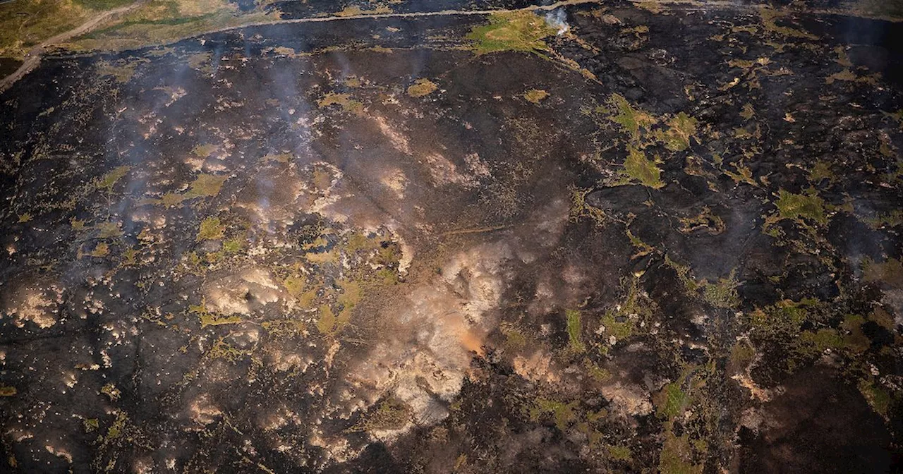 'Grim reality' as Lancs moors ravaged by fire could take 200 years to regenerate