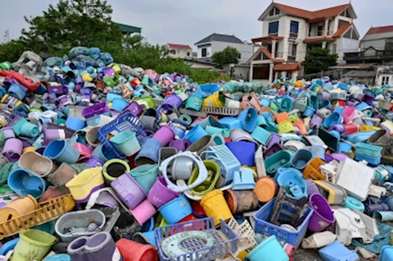 ‘Behaviours have not changed’: How plastic pollution poses challenge for Canada marine conservation