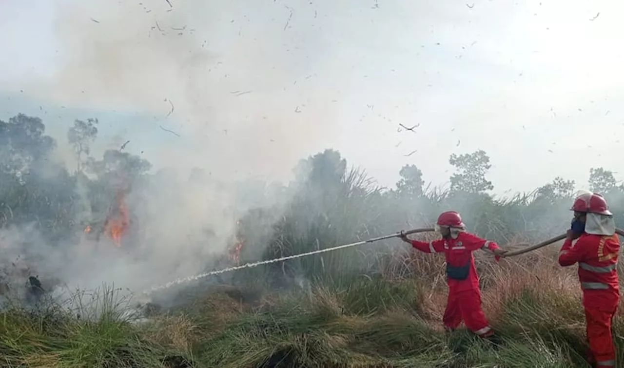 Karhutla di Palangka Raya kian Mengkhawatirkan, 12 Lokasi Terbakar dalam Sehari