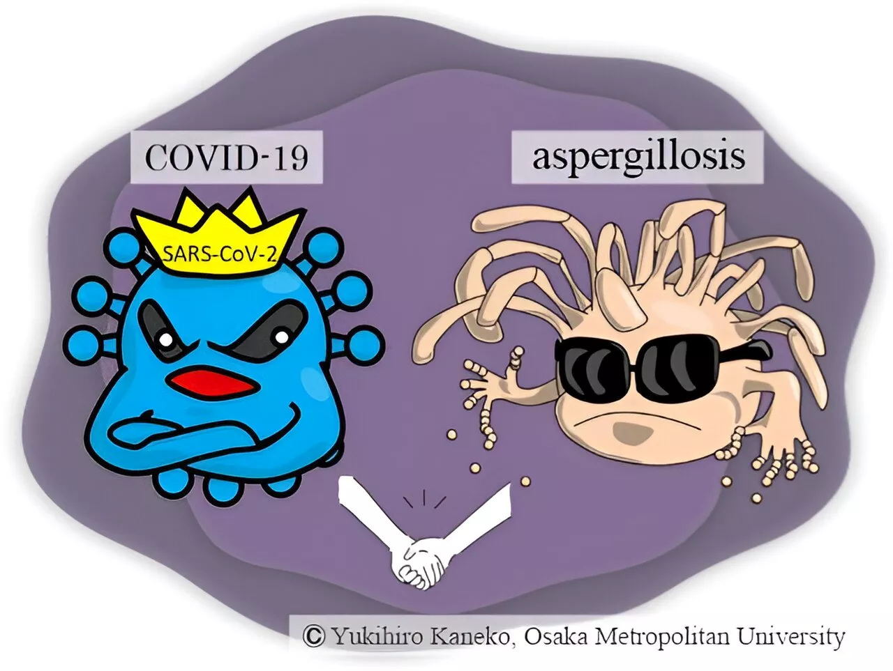 Analysis sheds light on COVID-19-associated disease in Japan