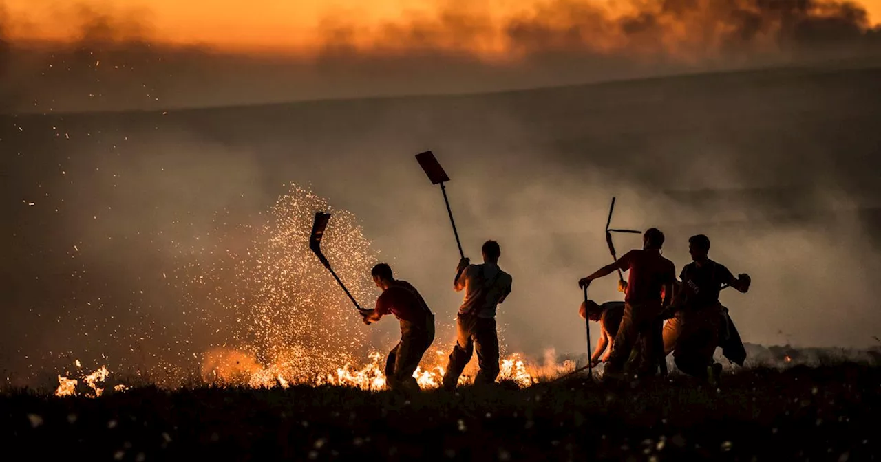 'Grim reality' as moors ravaged by fire could take 200 years to fully recover