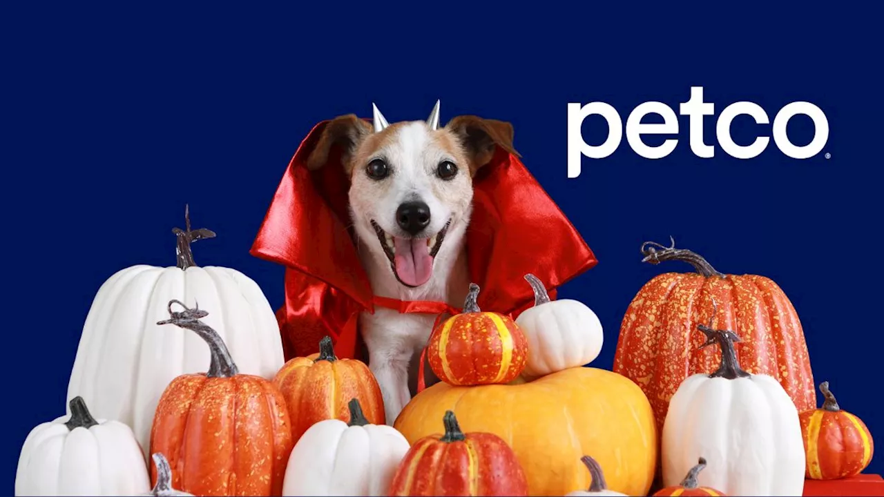 Petco organiza su pasarela de disfraces de Halloween 2024