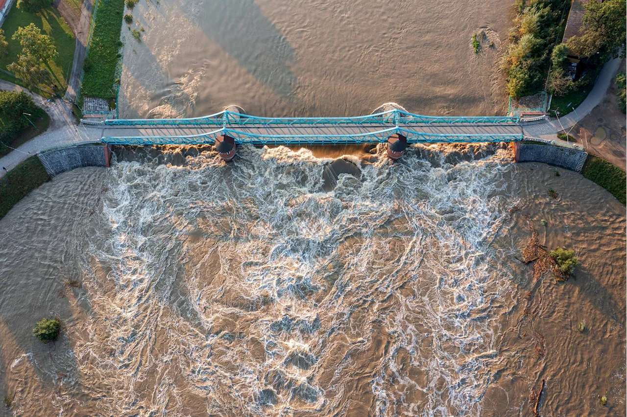 Hochwasser in Polen - Elbe sinkt, Oder droht zu überlaufen