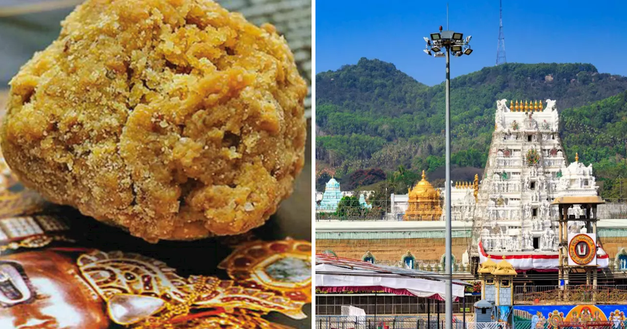 Tirupati laddus row: तिरुपति लड्डू में पशुओं की चर्बी, बीफ टैलो और लार्ड क्या बला हैं जिससे बखेड़ा खड़ा हो गया?