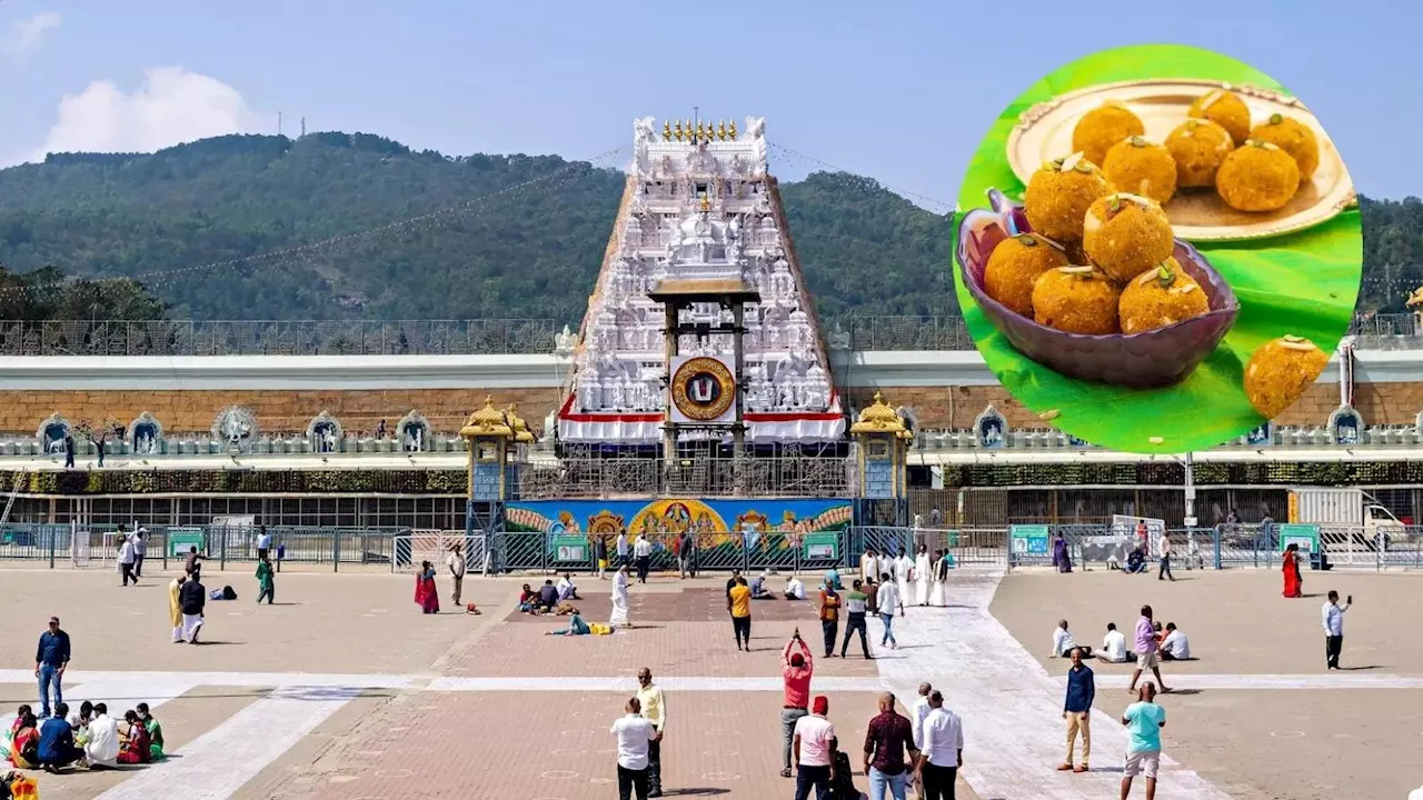 Tirupati Mandir के लड्डूओं में मिली जानवरों की चर्बी, जानिए देश के वो मंदिर जिनके पास भी नहीं भटकता नॉन वेज