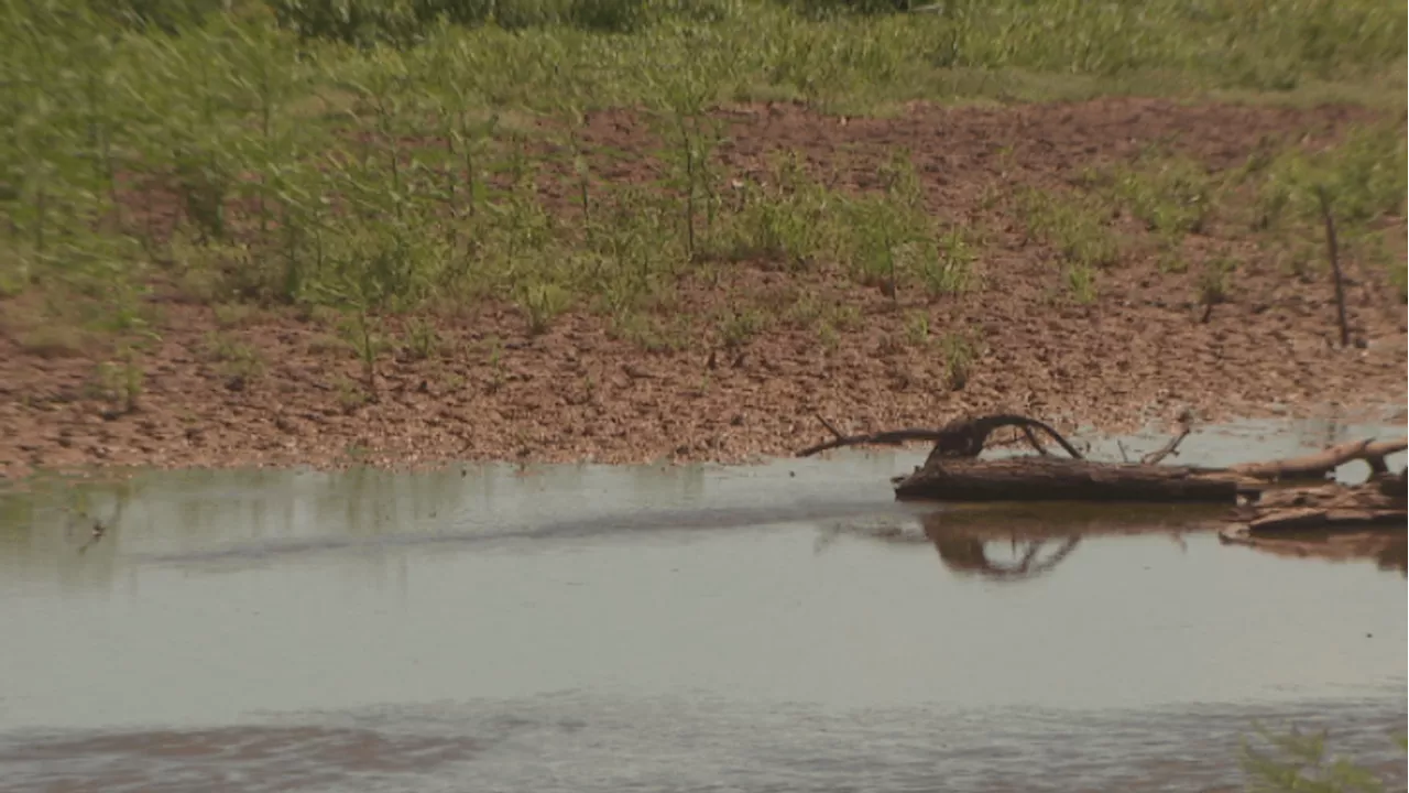 Grandmother heartbroken after infant's body found in tool bag at Texas lake