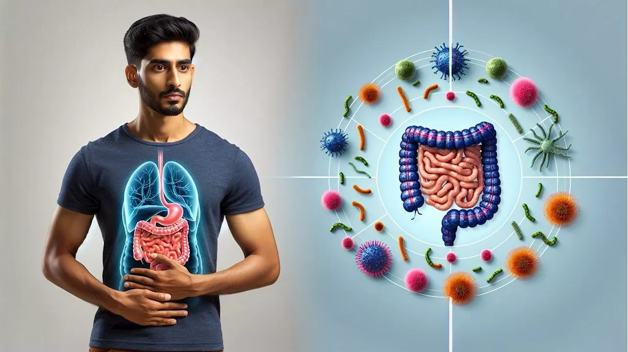 How plant-based, Mediterranean, and Western diets affect gut microbiota and disease