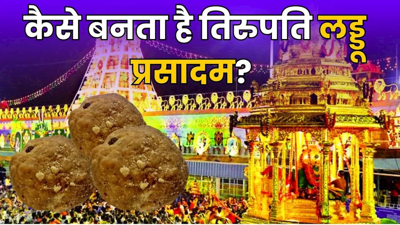 Tirupati Prasadam Row: कैसे बनता है लड्डू प्रसादम, चर्बी मिले होने से मचा हंगामा, जानिए- क्या है इतिहास?