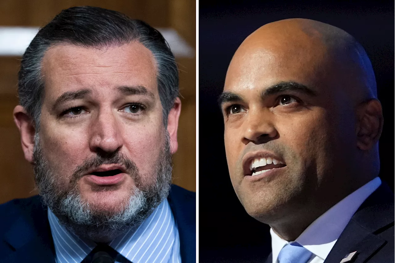 Ted Cruz Losing to Colin Allred for First Time: Texas Poll