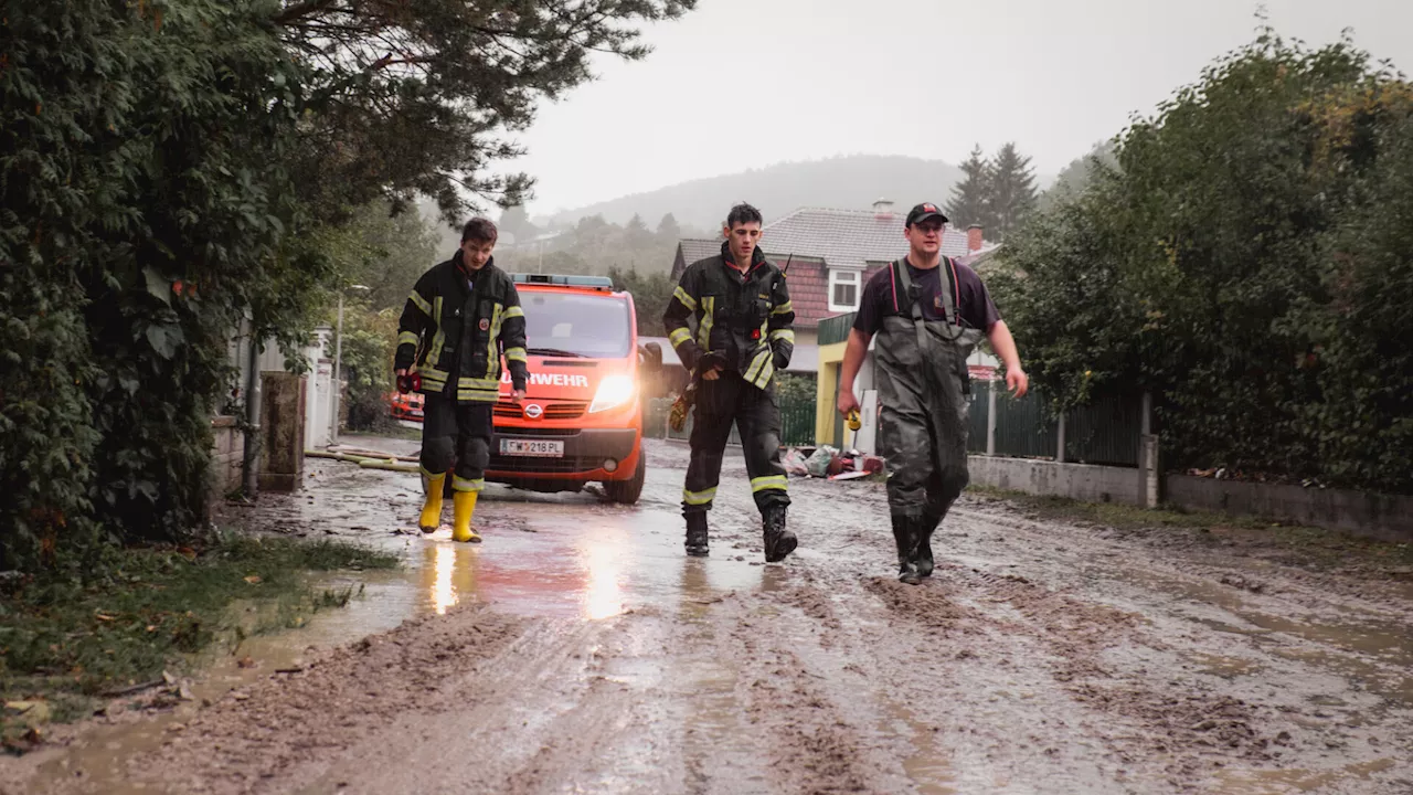 1.400 Stunden im Einsatz: Purkersdorfs Feuerwehr zieht Bilanz