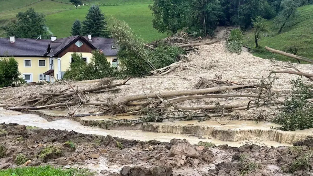 Schlamm und Baumstämme rutschten knapp an Wohnhaus vorbei