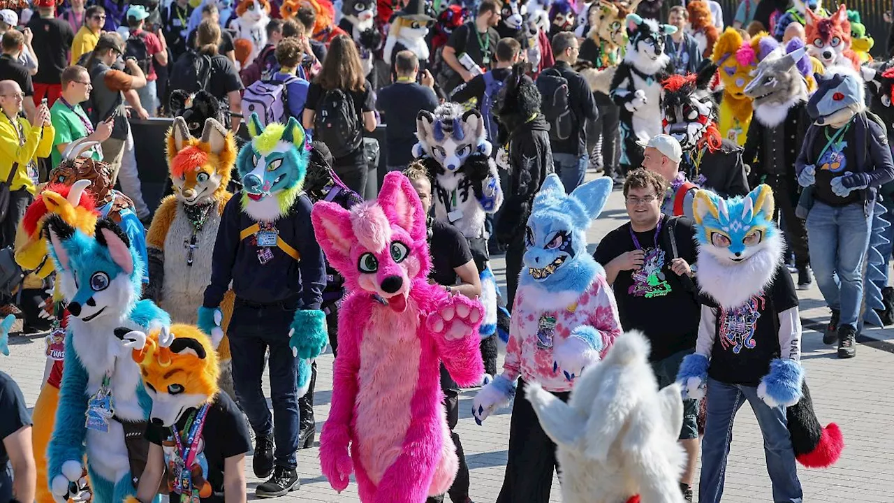 Hamburg & Schleswig-Holstein: Bunt und plüschig - Furry-Festival in Hamburg