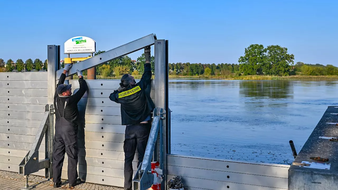 Hochwasser an der Oder: Aktuellen Pegelstände bei ntv.de