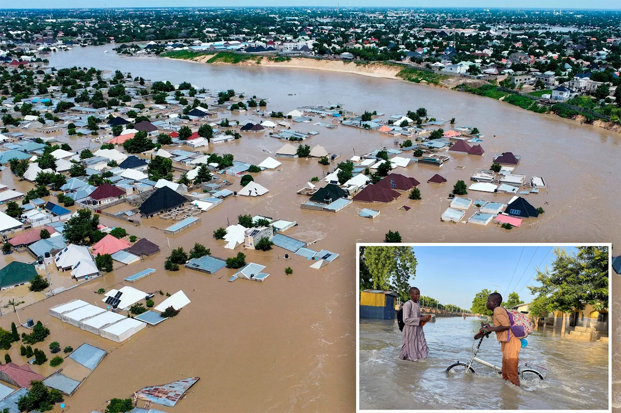 Deadly flooding in Africa leaves corpses of crocodile, snakes floating among human bodies