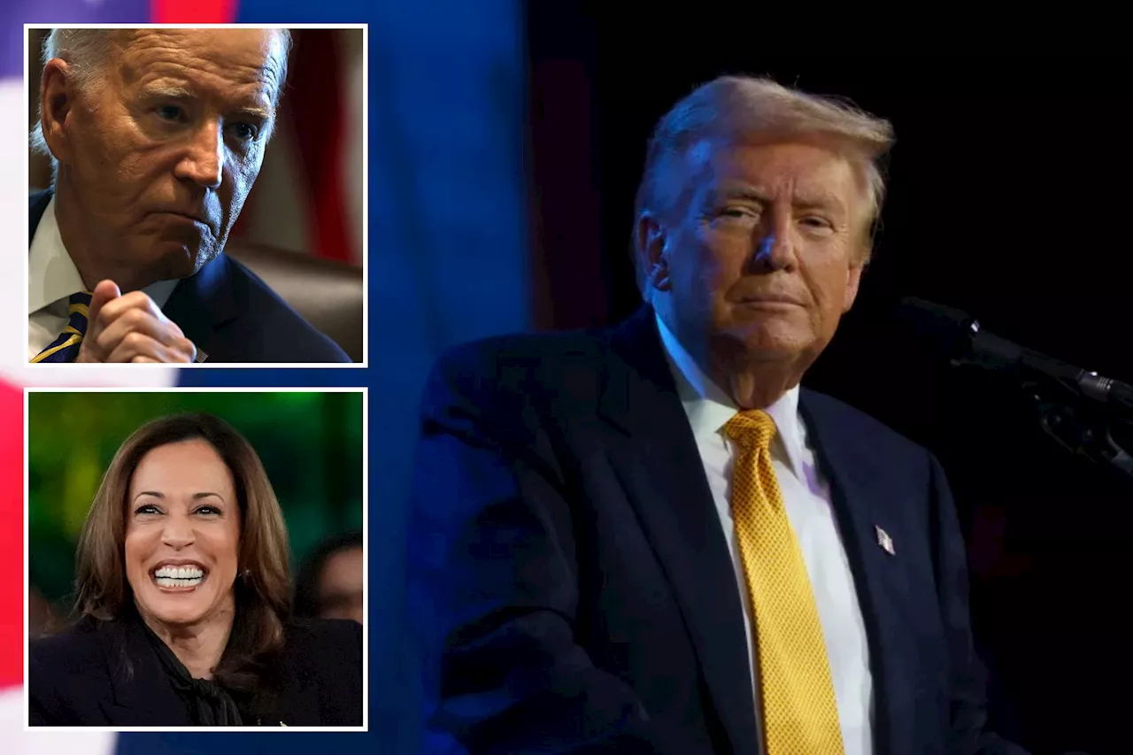 Dems send message to violent supporters: Who will rid us of this meddlesome Trump?