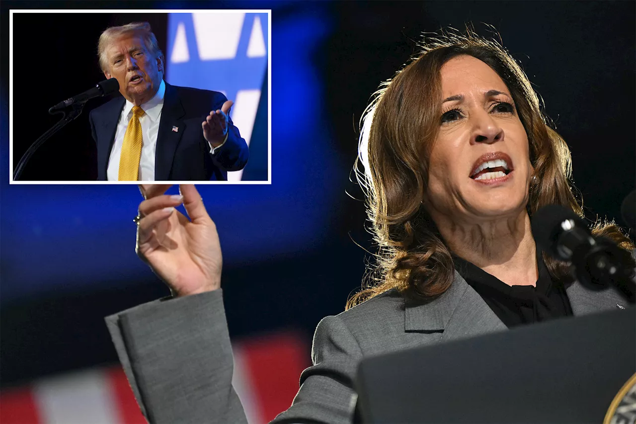 Kamala Harris uses debunked abortion death story to attack Trump, rally Dems in Georgia