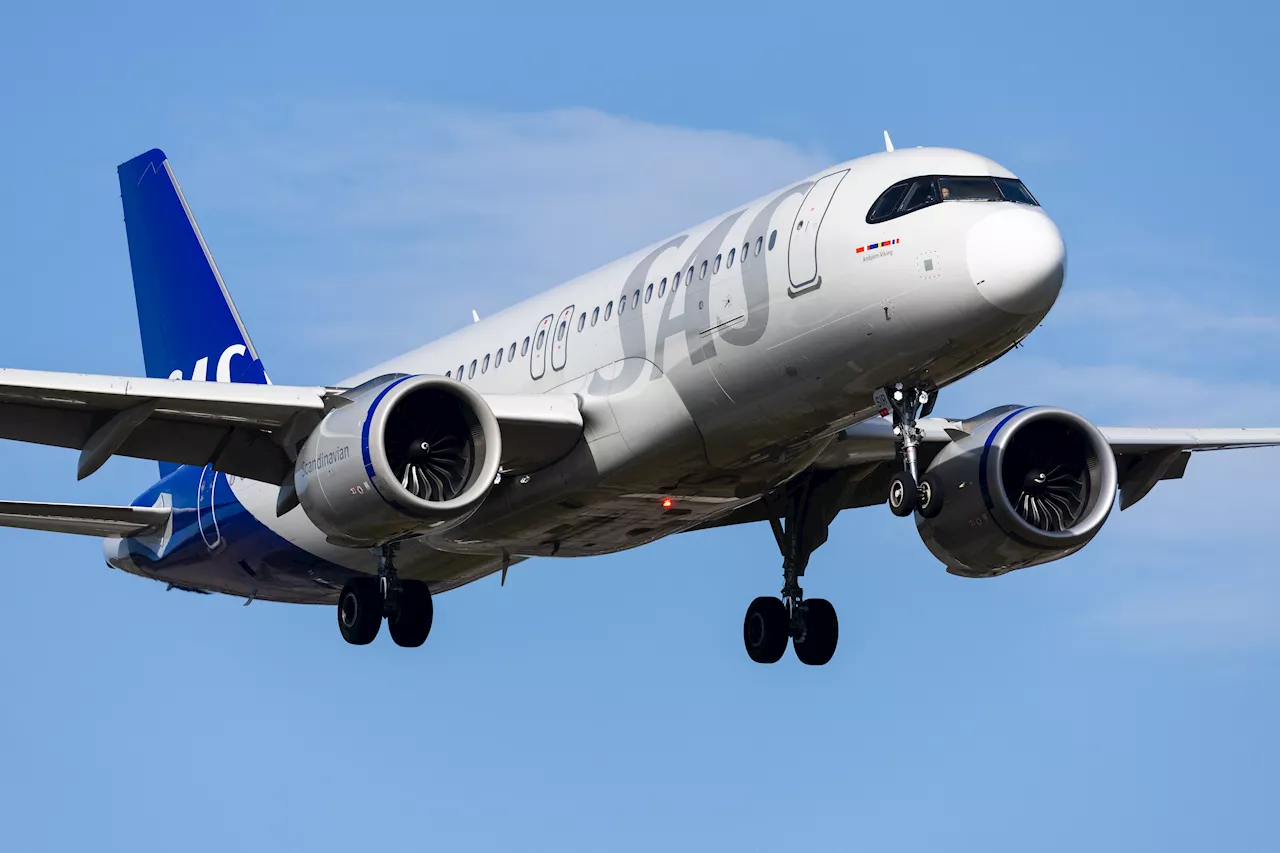Squeak attack! Airplane makes emergency landing after mouse jumps out of passenger's meal