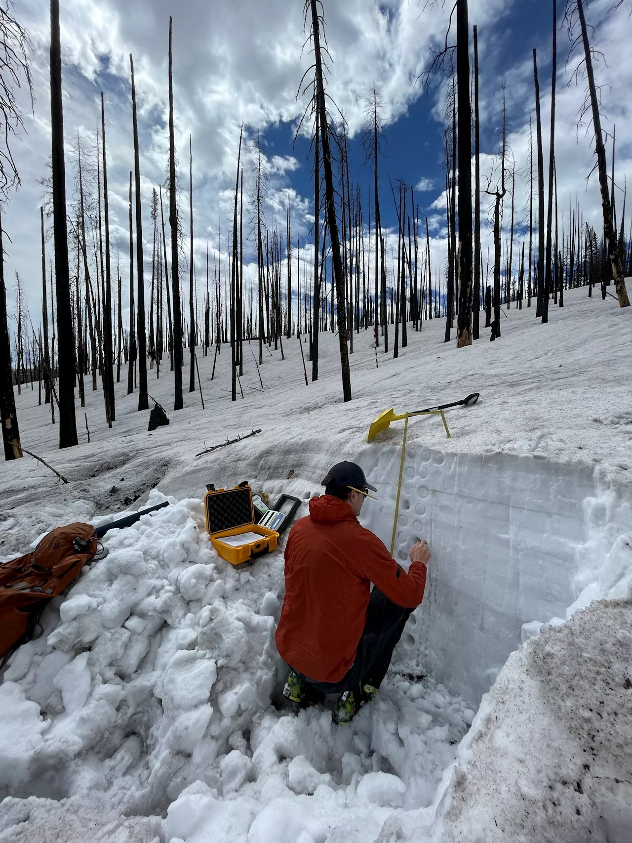 Location, location, location: Snowpack storage and runoff timing in burn scars depend on site and terrain