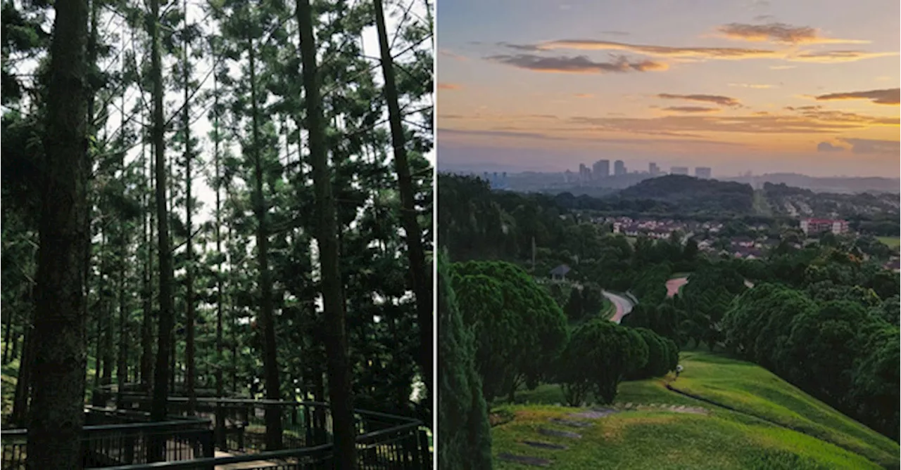 This Scenic Park In Putrajaya Has Pine Trees, Rolling Hills & Good Vibes For Your Soul