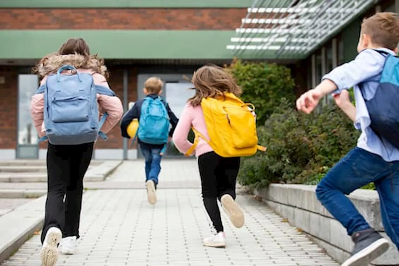 Scuola, in Svezia dal 2028 si torna all'insegnamento tradizionale: ecco cosa cambia