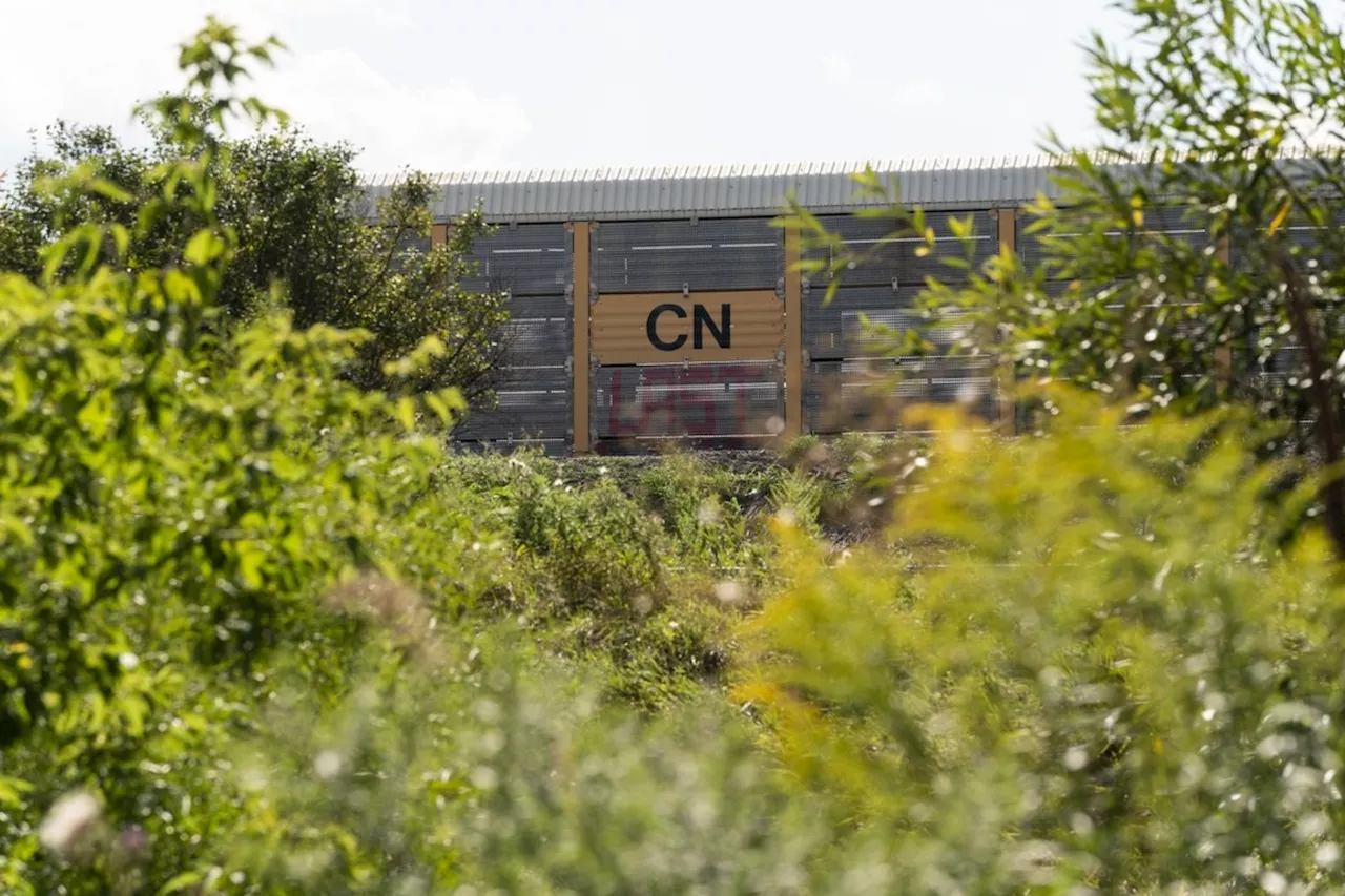 'Deeply disappointed': Jasper mayor says CN Rail relocation will be devastating