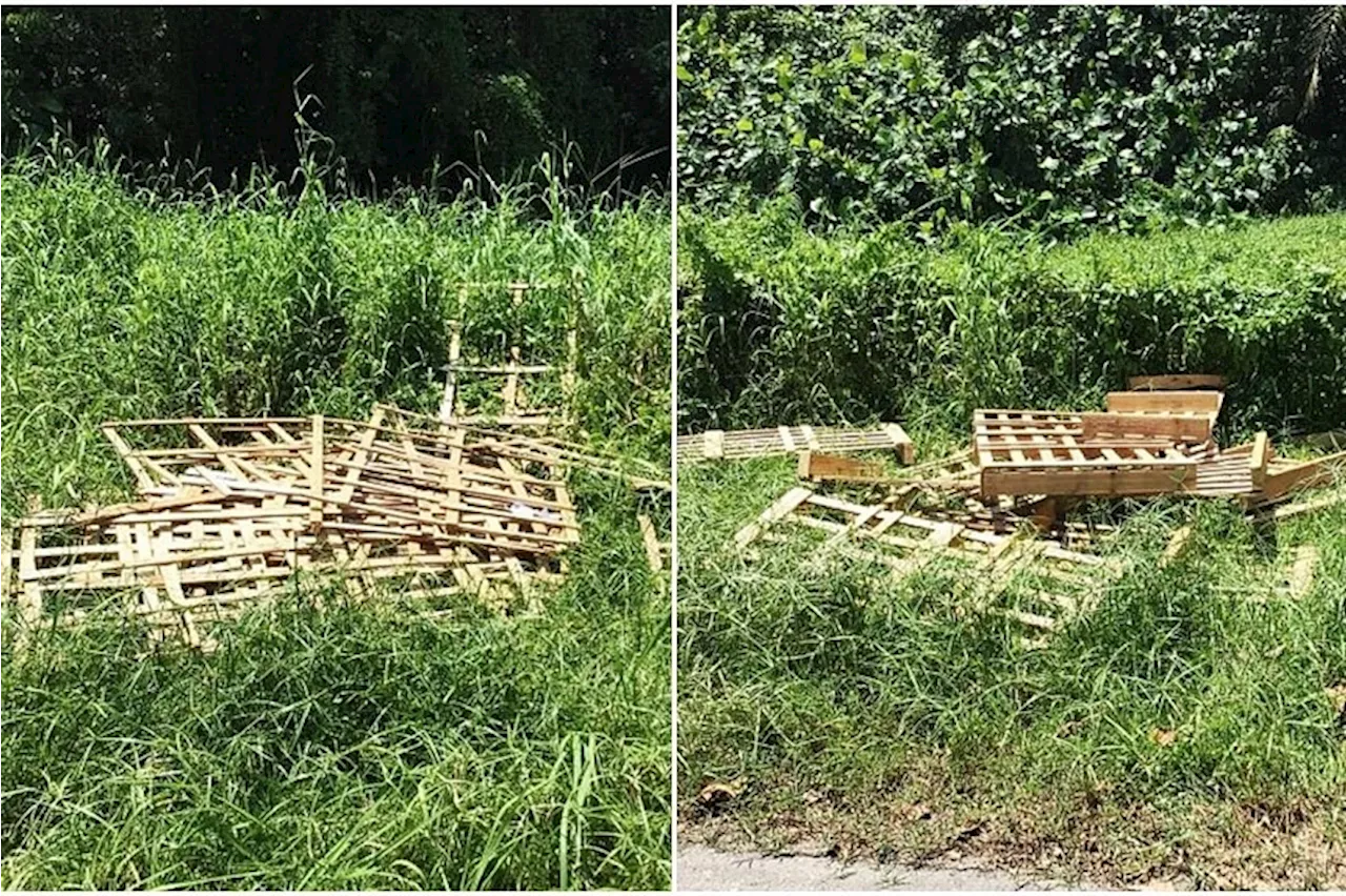 $9,000 fine for man who illegally disposed of wooden crates and pallets in Lim Chu Kang