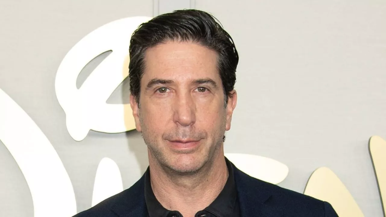 David Schwimmer: 'Friends'-Star lehnte 'Men in Black'-Rolle ab