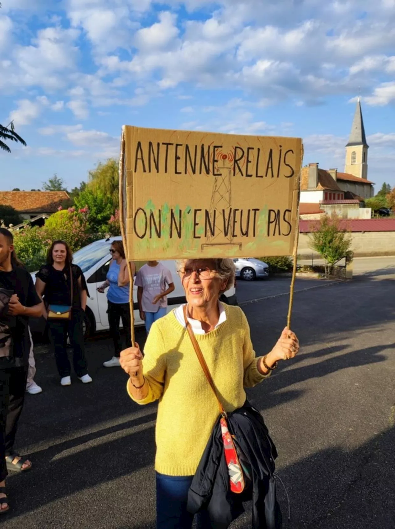 Béarn : un projet d’implantation d’antenne SFR à Bérenx fait polémique