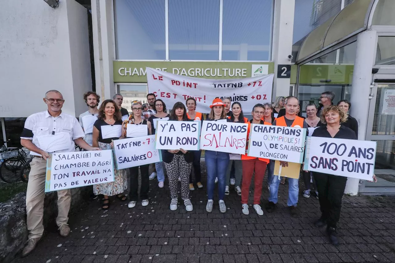 Chambre d’agriculture de Charente-Maritime : les personnels réclament une revalorisation de leur salaire