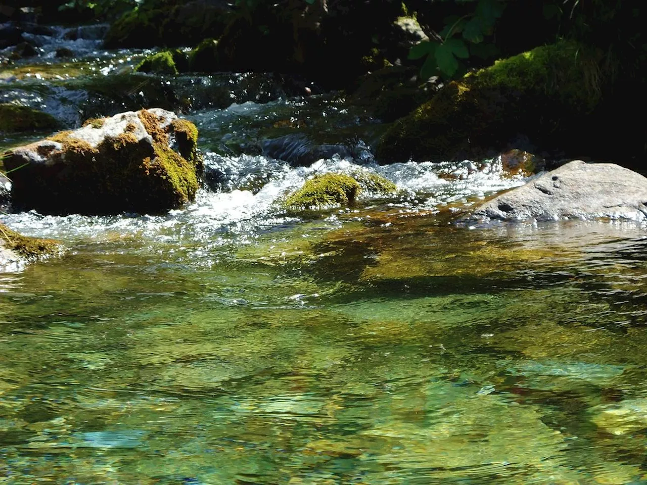 Environnement : une cartographie inédite des cours d’eau officiels pointe les incohérences de la réglementation