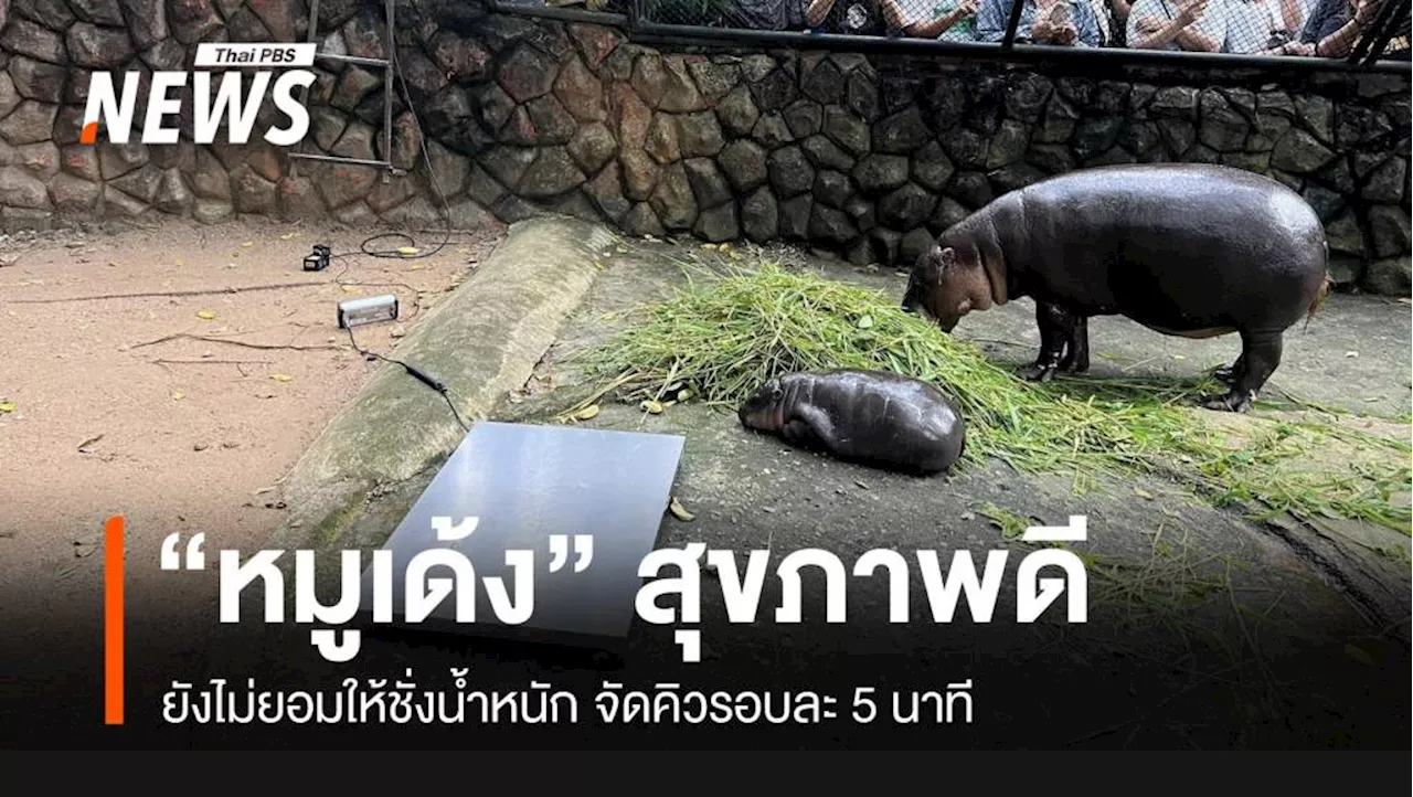 สยบดรามา 'หมูเด้ง' โชว์หารายได้ สุขภาพดี-ไม่ยอมชั่งน้ำหนัก